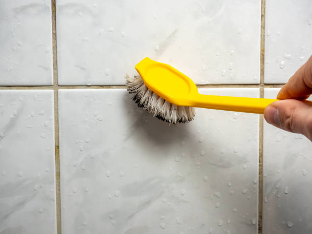 Trusted Weber City, VA Mold Remediation Experts