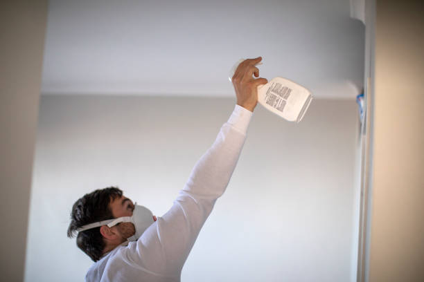 Best White Mold Remediation in Weber City, VA