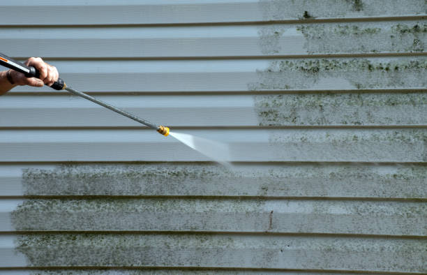 Best Mold Remediation for Specific Building Types in Weber City, VA